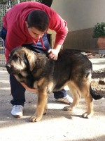 /album/cachorros/a20131123-132122-1-jpg/